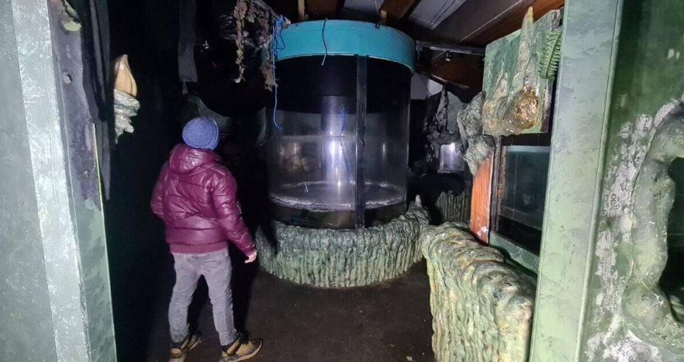 Inside eerie UK abandoned Sealife centre where water-filled tanks remain standing